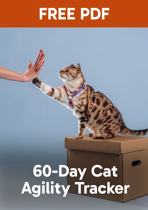 60-Day Cat Agility Tracker (PDF)