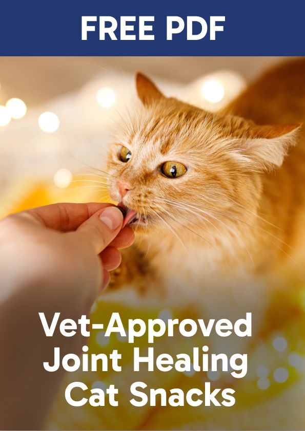 Vet-Approved Joint Healing Cat Snacks (PDF)